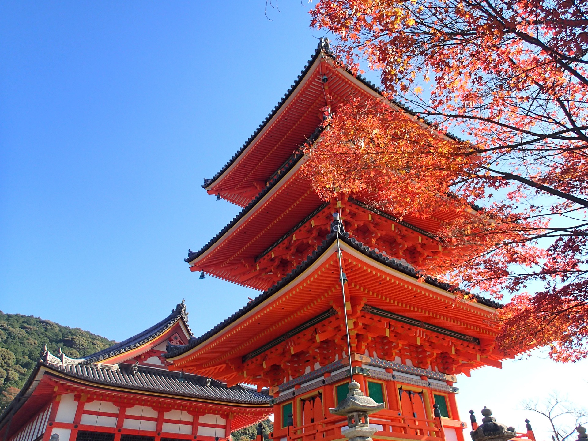 京都-紅葉
