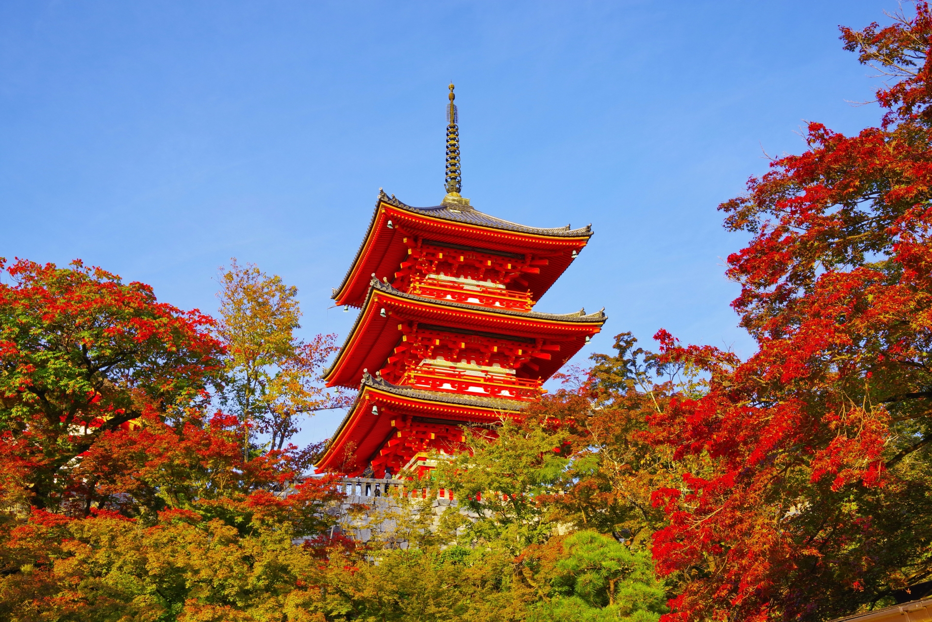 清水寺-紅葉