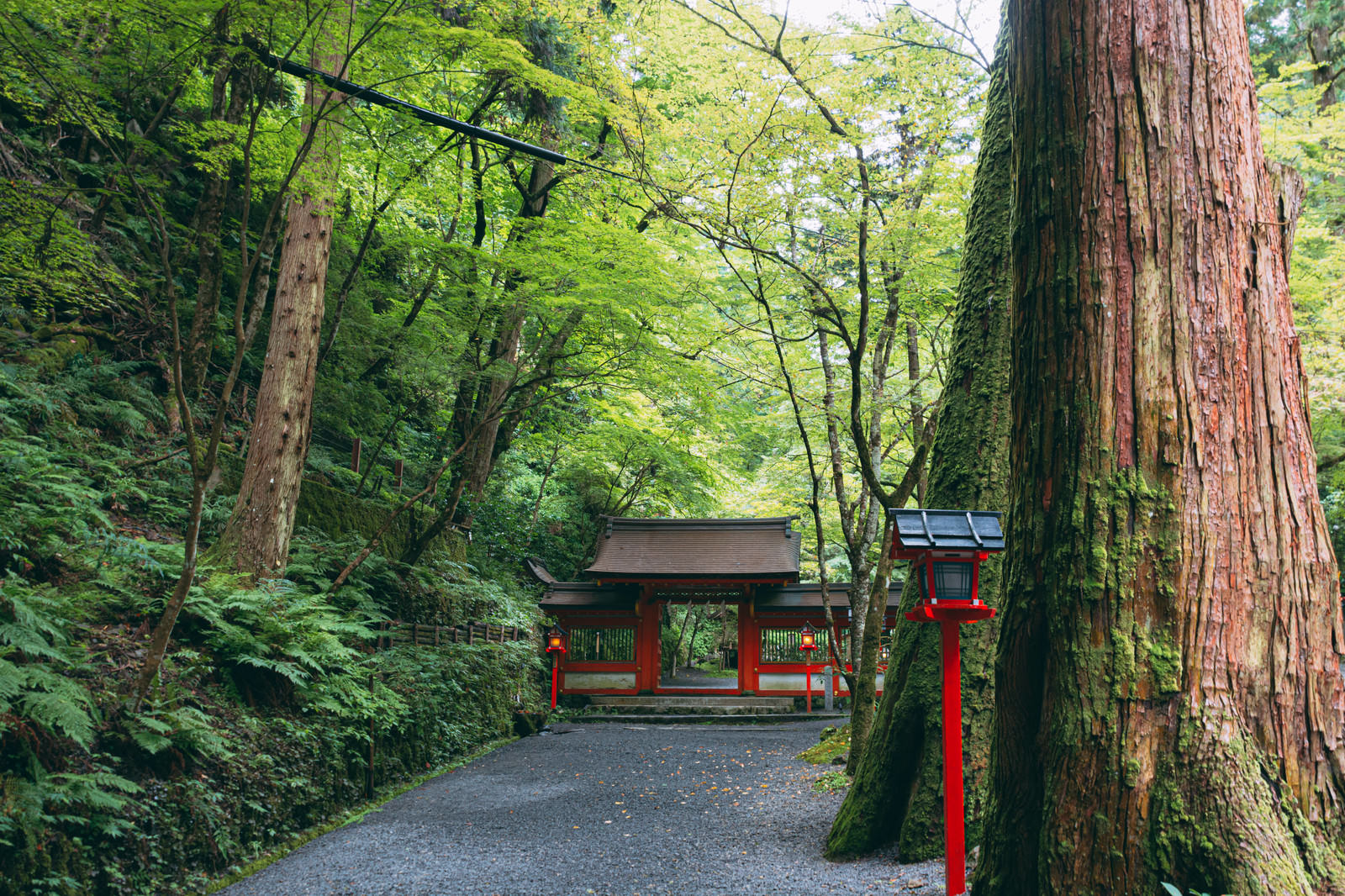貴船神社