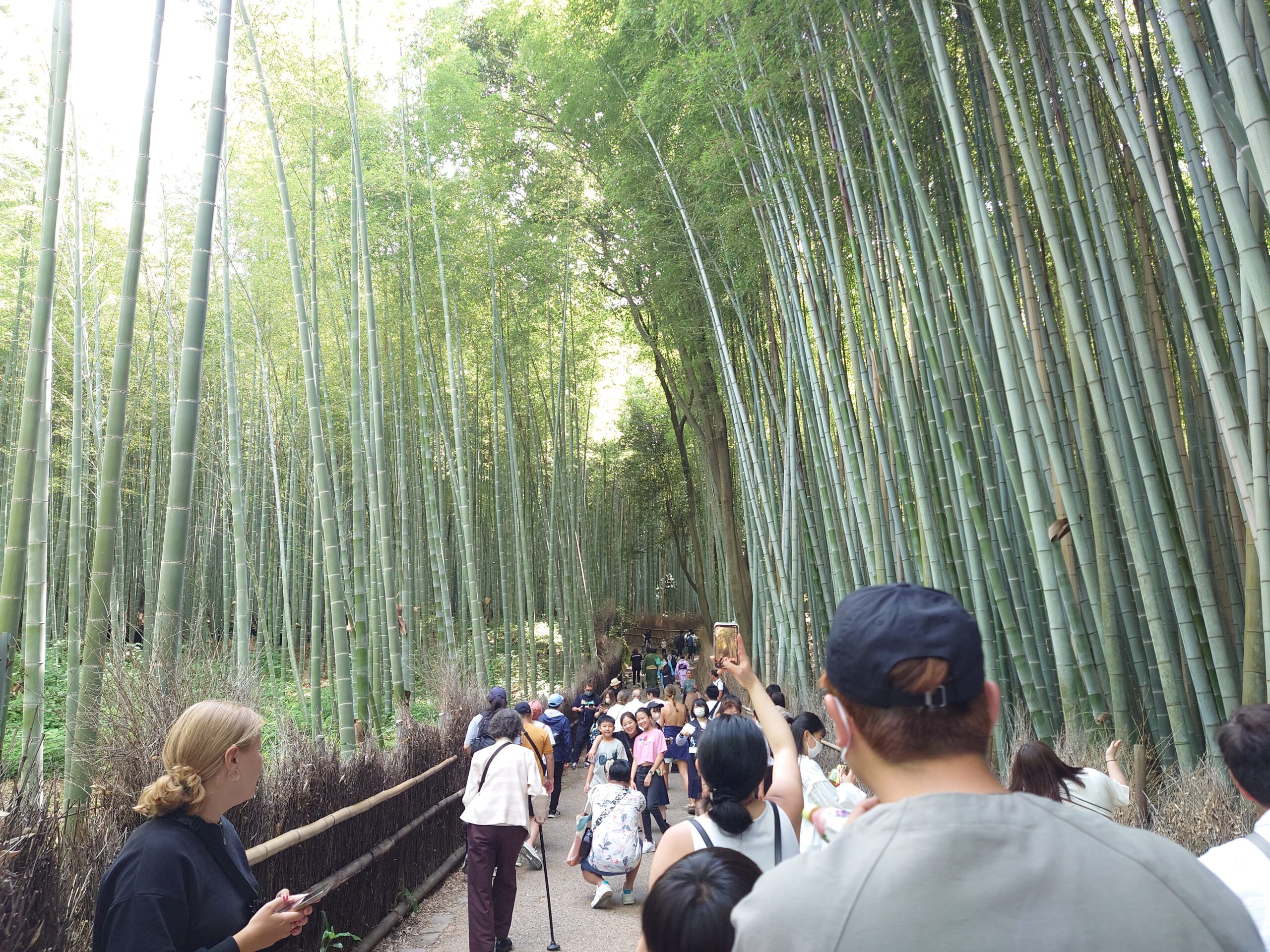 嵐山の竹林の小径