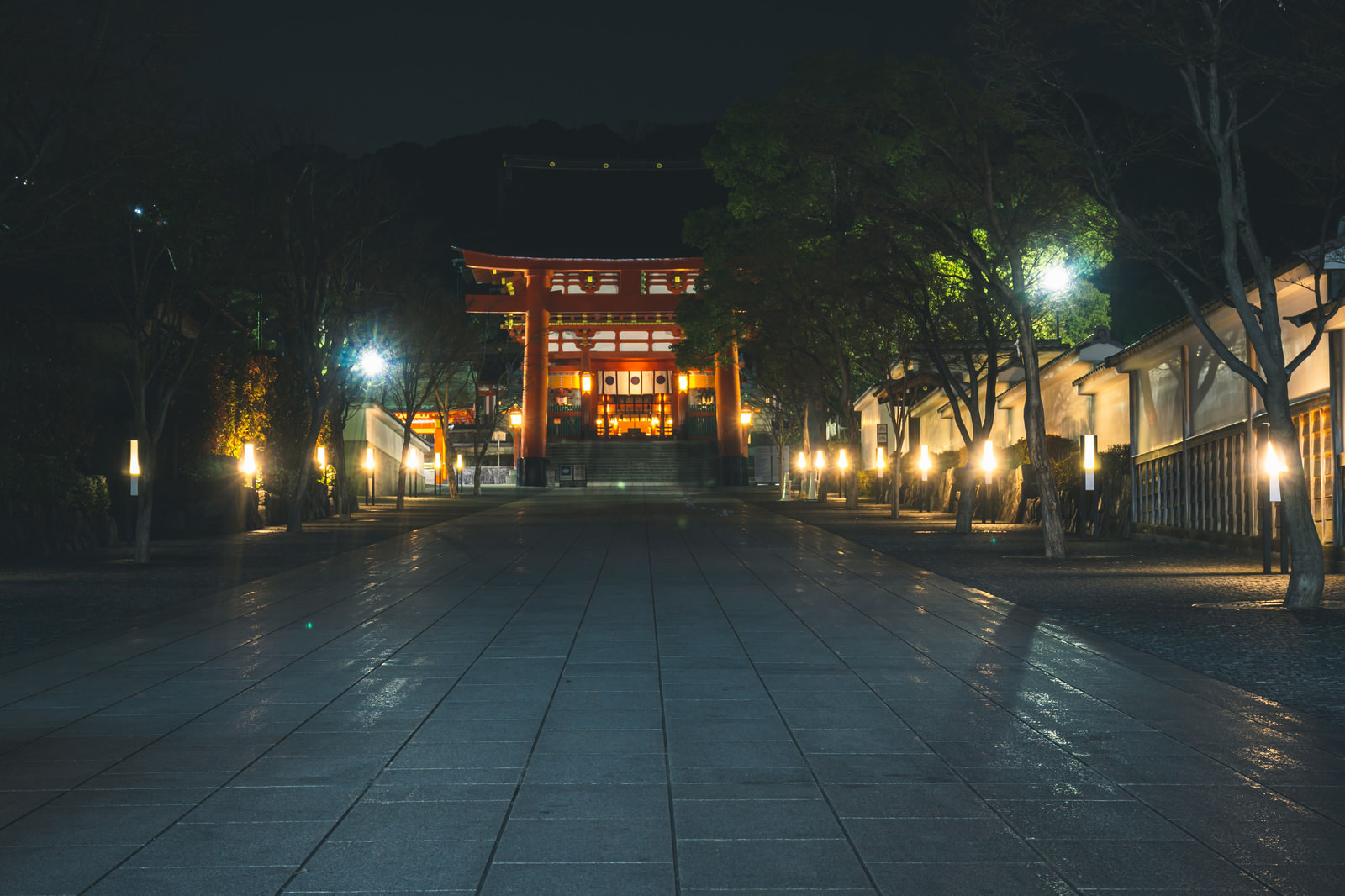 夜間の伏見稲荷大社の幻想的な景色