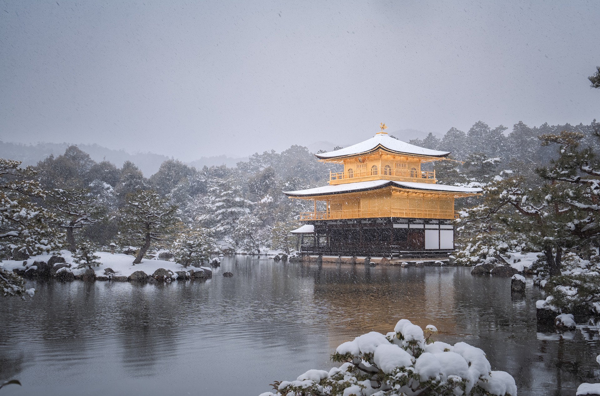 金閣寺の紅葉