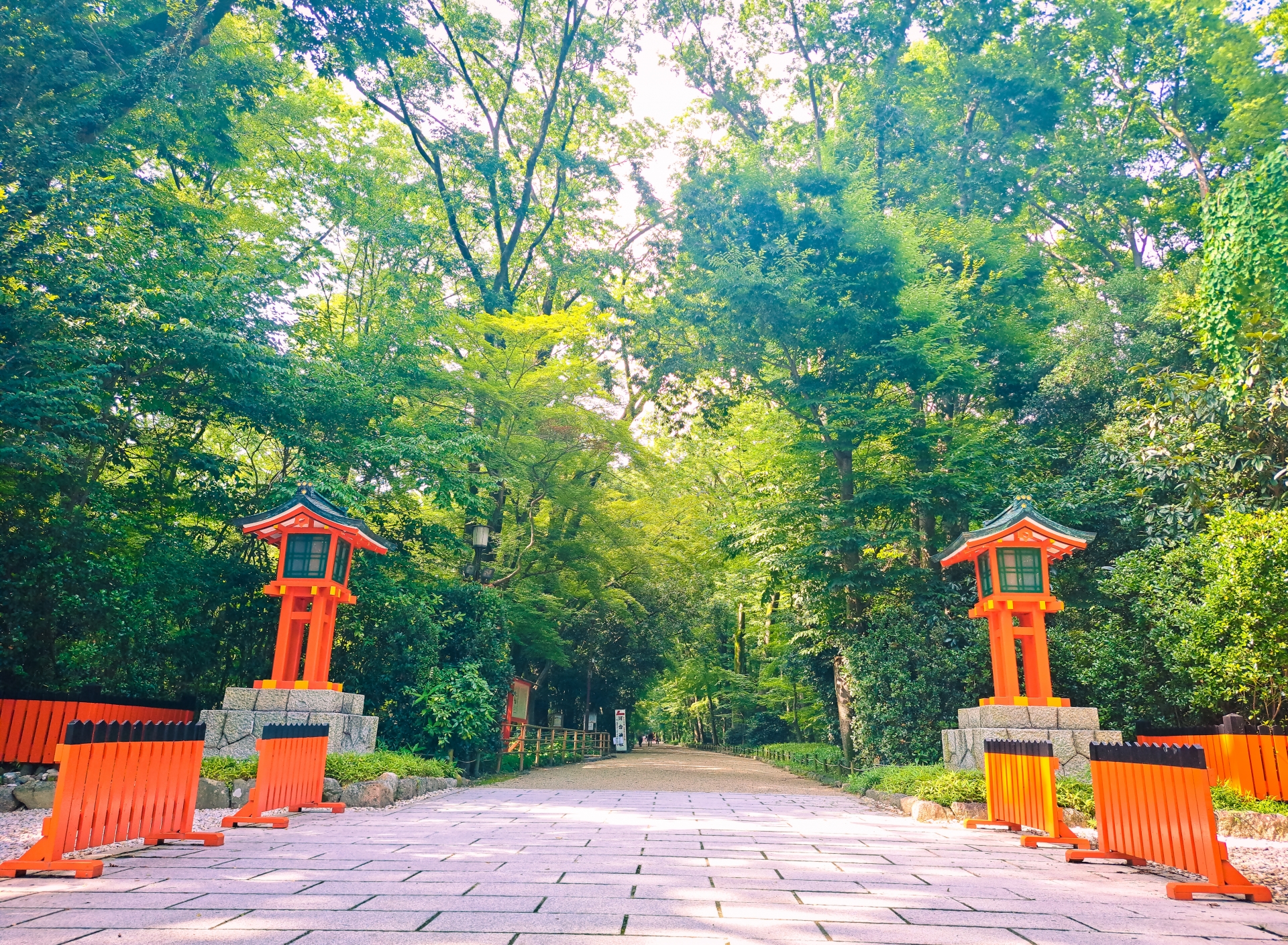 下鴨神社の表参道と糺の森
